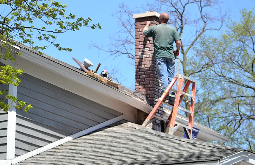 Chimney & Fireplace Inspections Services in College Park, MD